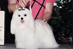 Our beloved Billy Bob