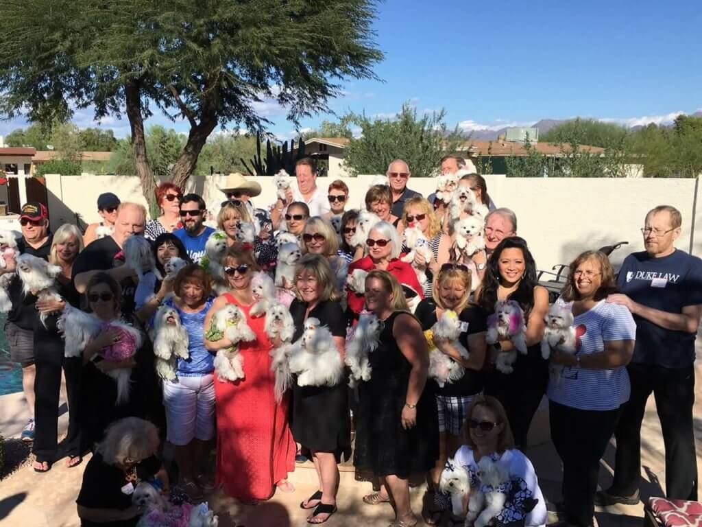 Chinadoll Reunion 2016